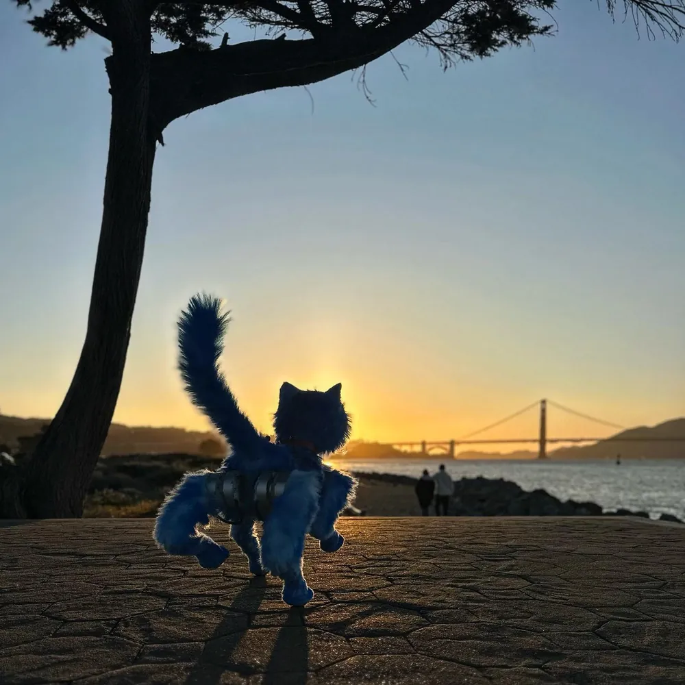 Nushi the robotic cat at sunset by the Golden Gate Bridge