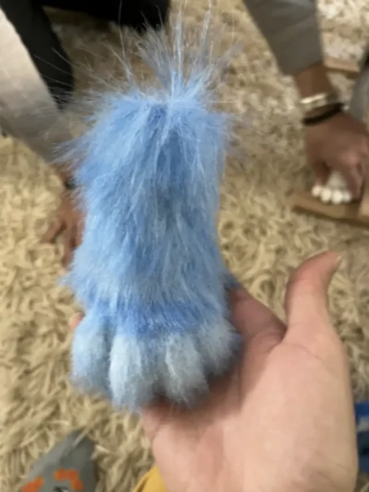 Nushi paw detail